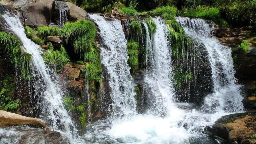 Lago Da Garca Guesthouse São Pedro do Sul Εξωτερικό φωτογραφία
