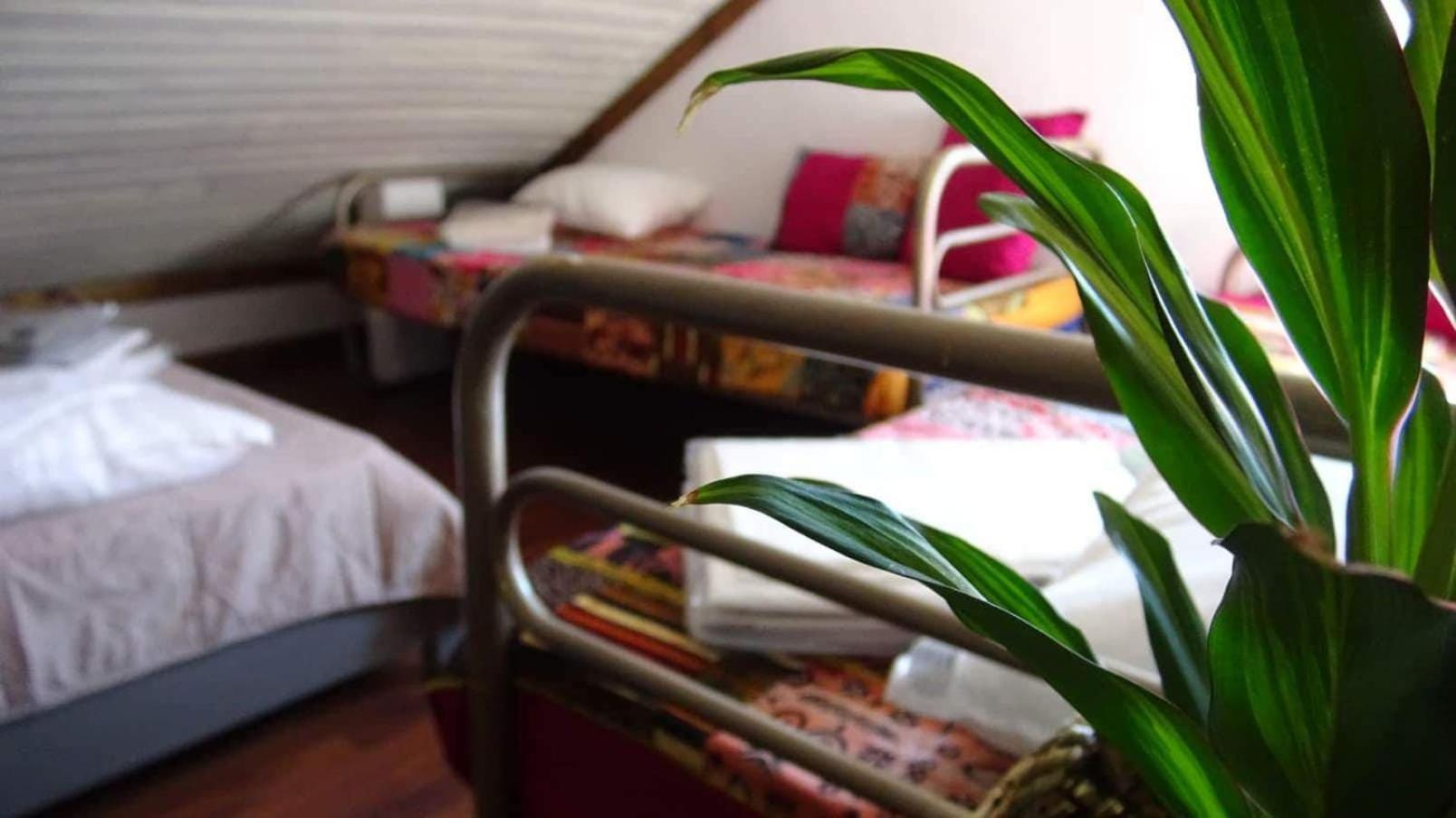 Lago Da Garca Guesthouse São Pedro do Sul Εξωτερικό φωτογραφία