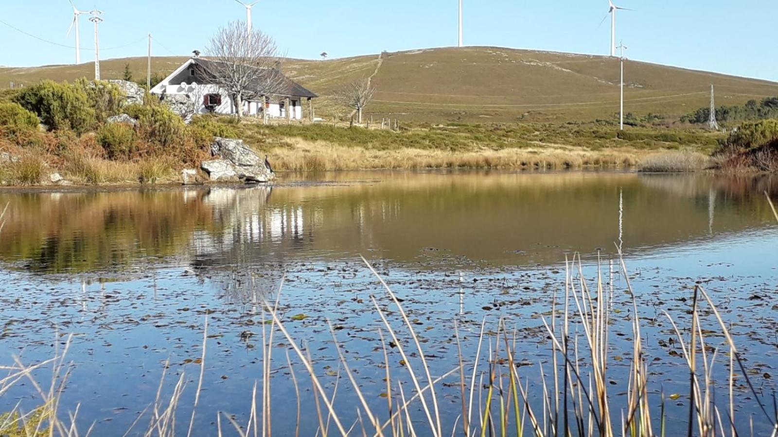 Lago Da Garca Guesthouse São Pedro do Sul Εξωτερικό φωτογραφία